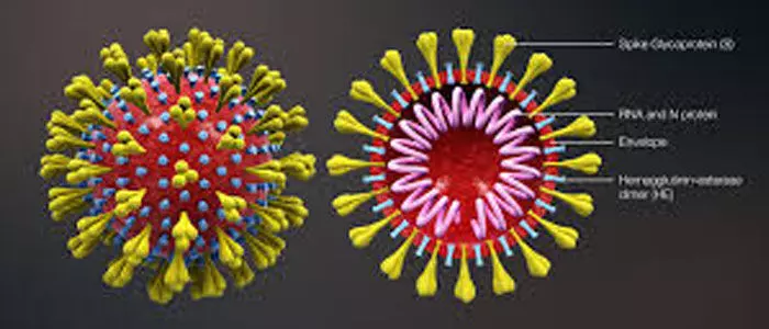 coroan viurs, telangana, college, 25 students