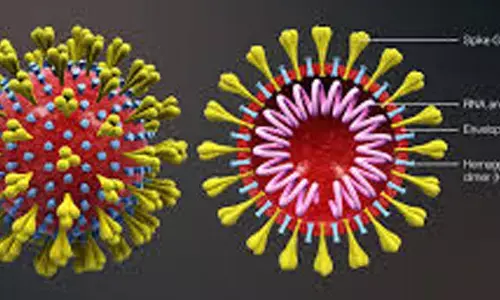 coroan viurs, telangana, college, 25 students