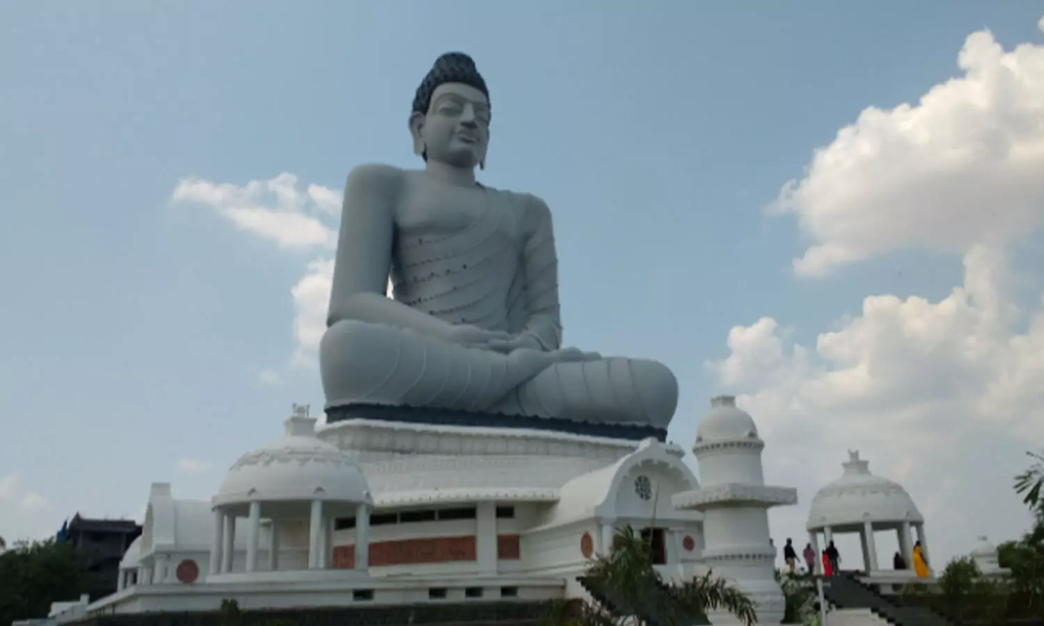 corona, andhra pradesh, positive cases, deaths, recovery