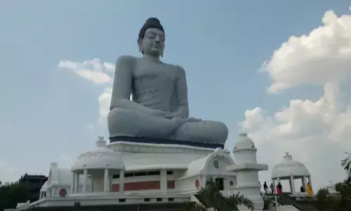 corona, andhra pradesh, positive cases, deaths, recovery