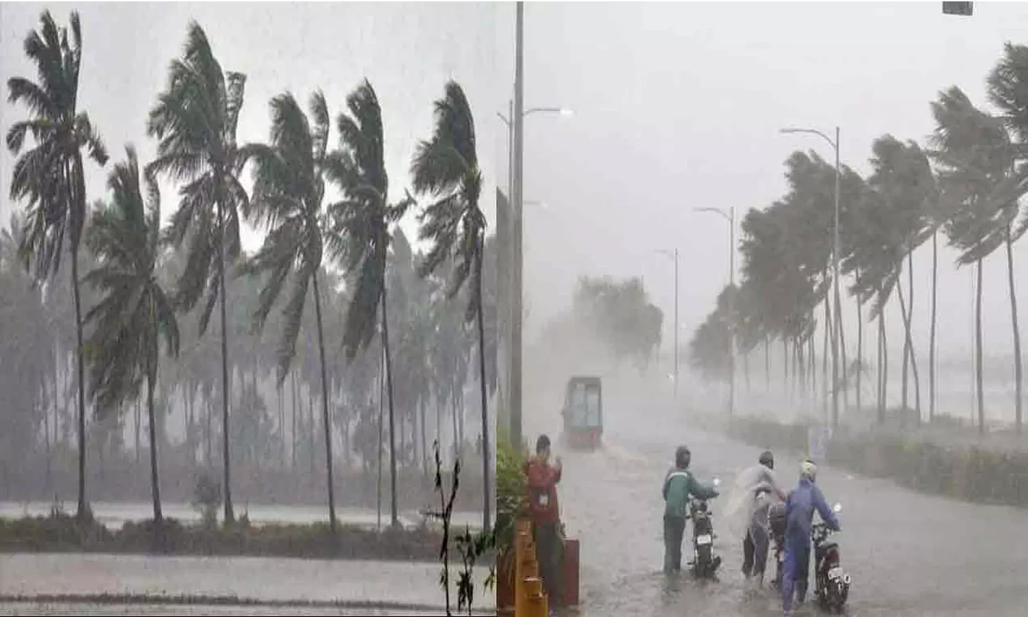 anhdra pradesh, heavy rains, chithoor, collector