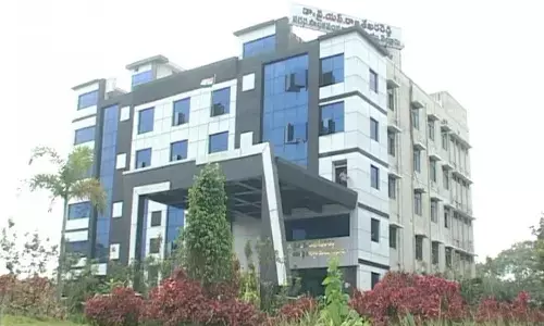 muncipalities, corporation, chairman, vicechairman