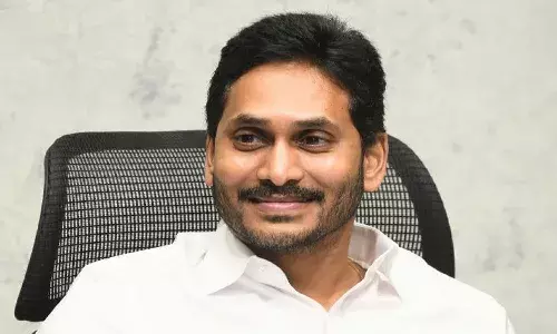 ys jagan, andhra pradesh, central government, council