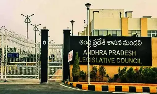 council, andhra pradesh, assembly, government