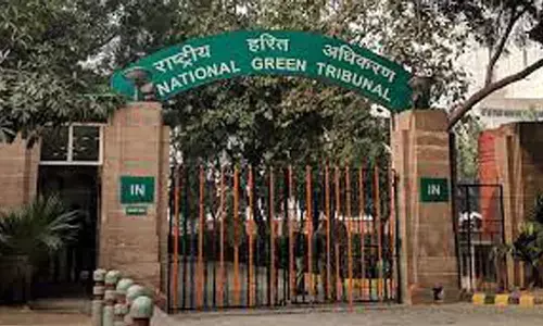 national green tirbunal, telangana, secratariat, revanth reddy
