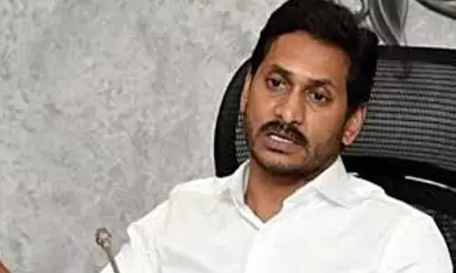 centra; team , andhra pradesh, ys jagan, floods