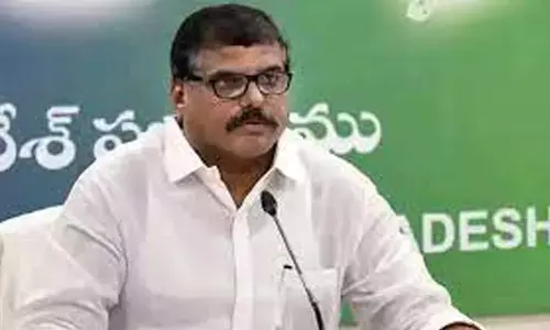 botsa satyanarayana, minister, pawan kalyan, janasena