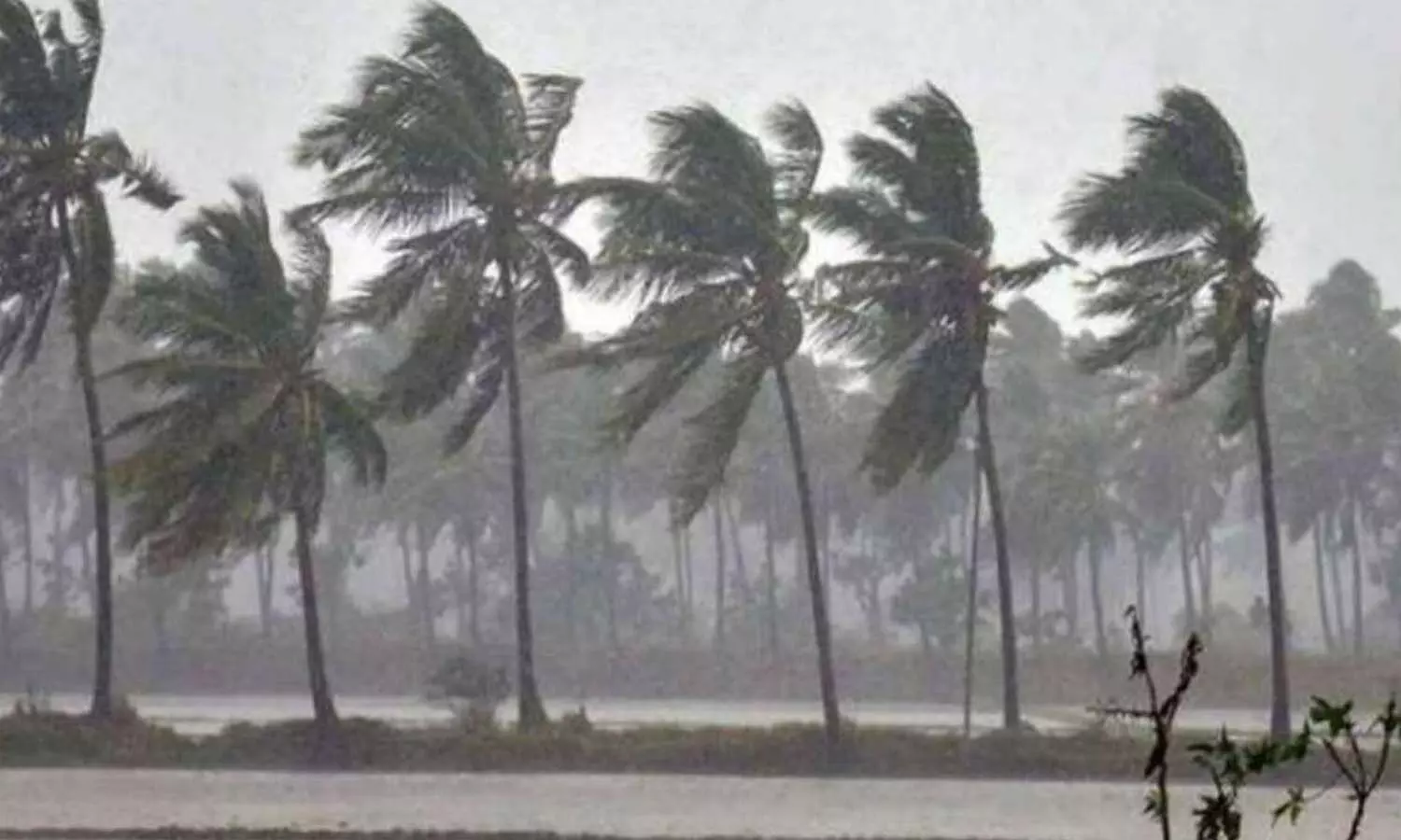 andhra pradesh, orrange allert, nellore, kadapa, chithoor, prakasam