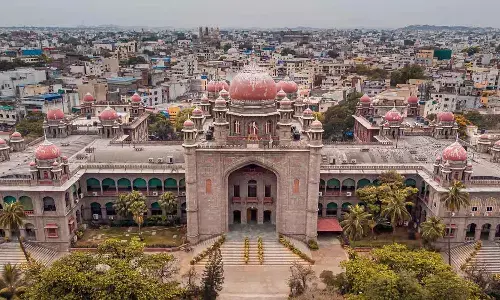 mariyamma, cbi, high court, telangana