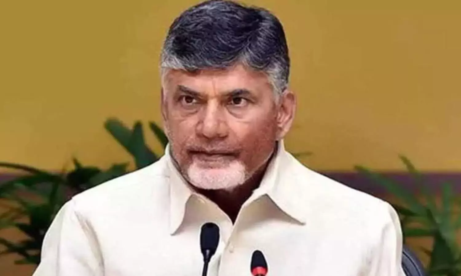 chandrababu, tdp, vijayanagaram, nelimarla, incharge