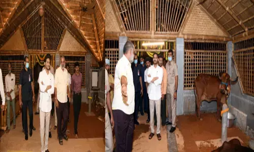 ys  jagan, gosala, tadepalli, cm camp office