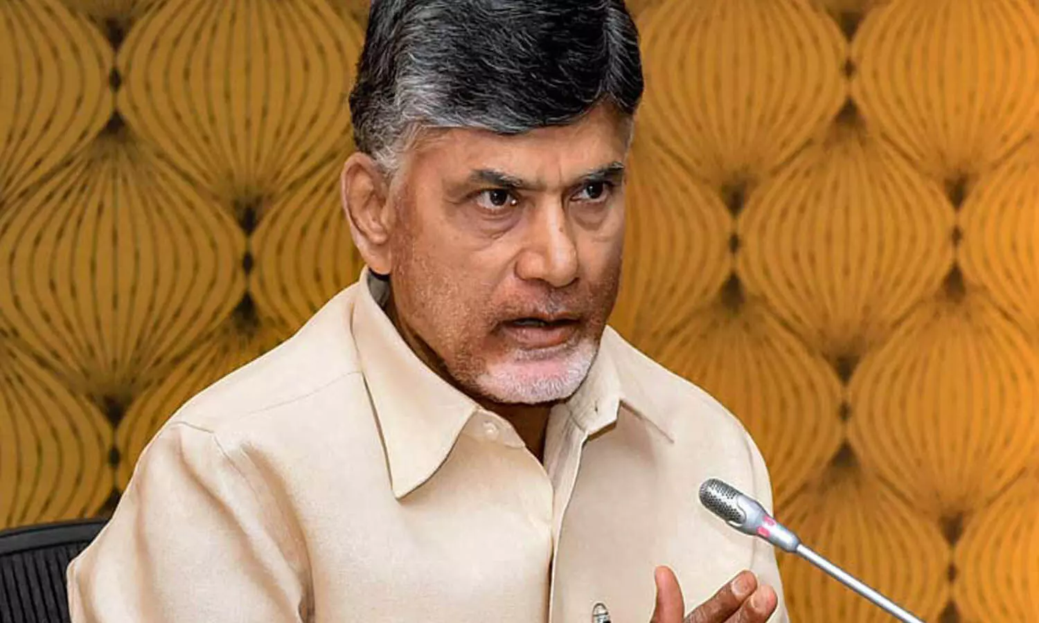 chandrababu, tdp, meeting, party office, incharges