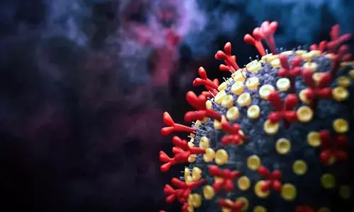 corona, positive cases, deaths, recvoery, india