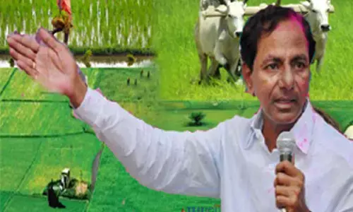 farmer, sucide, kcr, chief minister, medak, paddy purchase