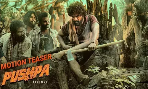 pushpa, hindupuram, balaji theatre, allu arjun fans