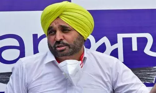 bjp, bhagavanth mann, aam admi party, punjab