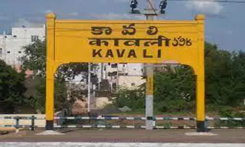 omicron, nellore, kavali, america