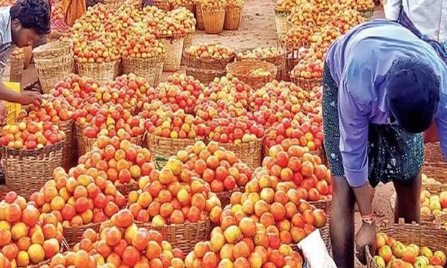 tomoto, prices, market, thirty eight rupees tomoto, prices, market, thirty eight rupees