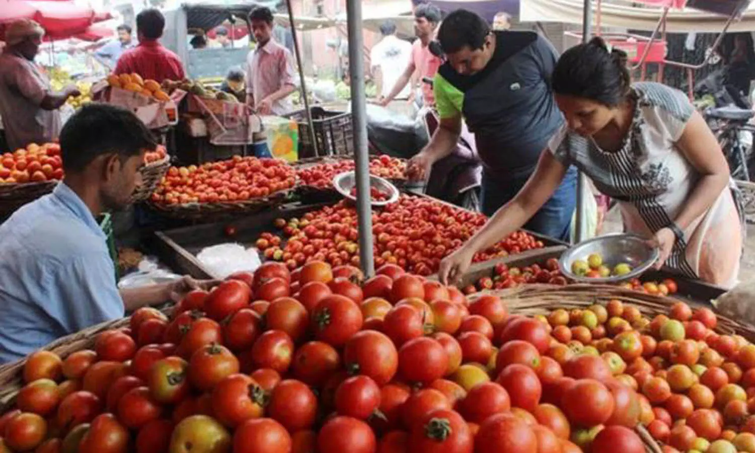 tomato, price, pattikonda market