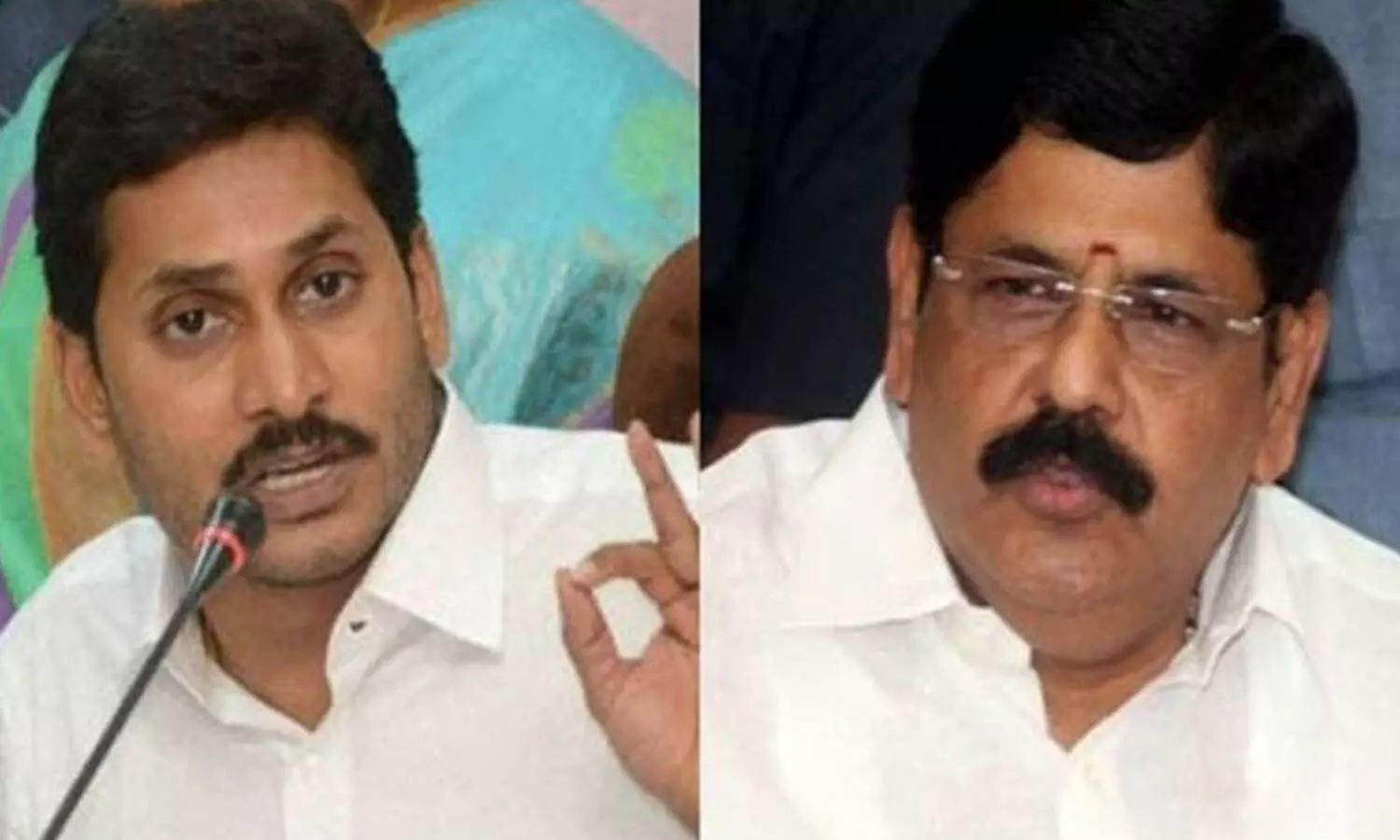anam ramnarayana reddy, ysrcp, ys jagan, nellore, tdp