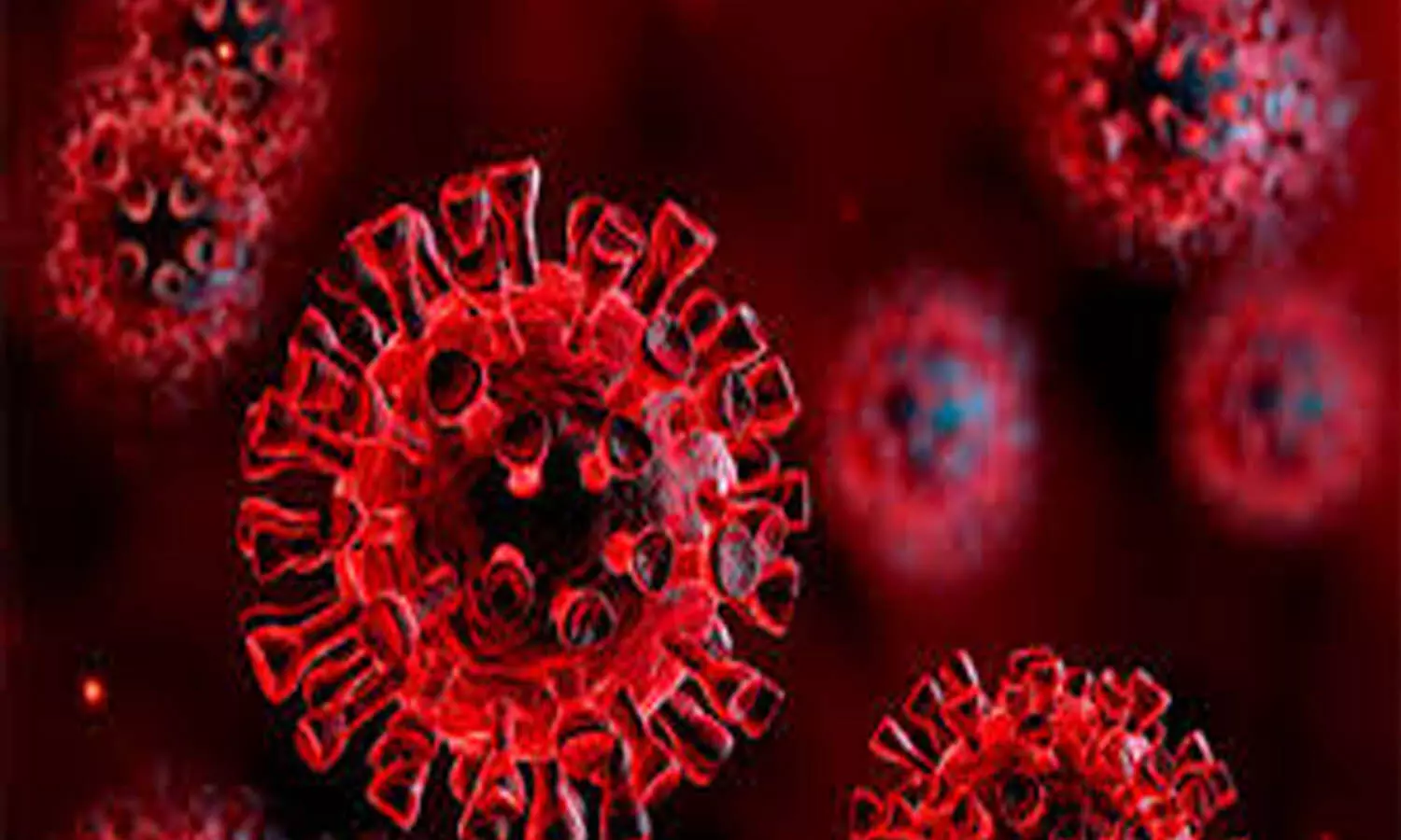 corona, positive cases, deaths, recovery, india