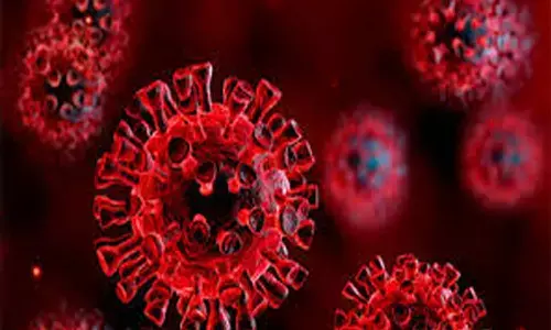 corona, positive cases, deaths, recovery, india