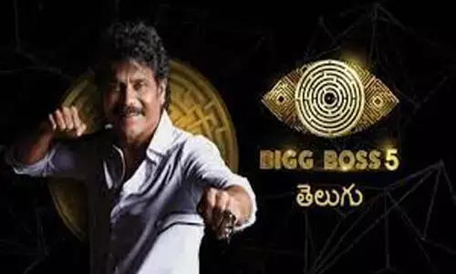 bigboss 5, telugu, sunny, shanmukh, nagarjuna