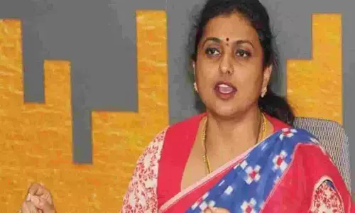 rk roja, pawan kalyan, bheemla nayak movie