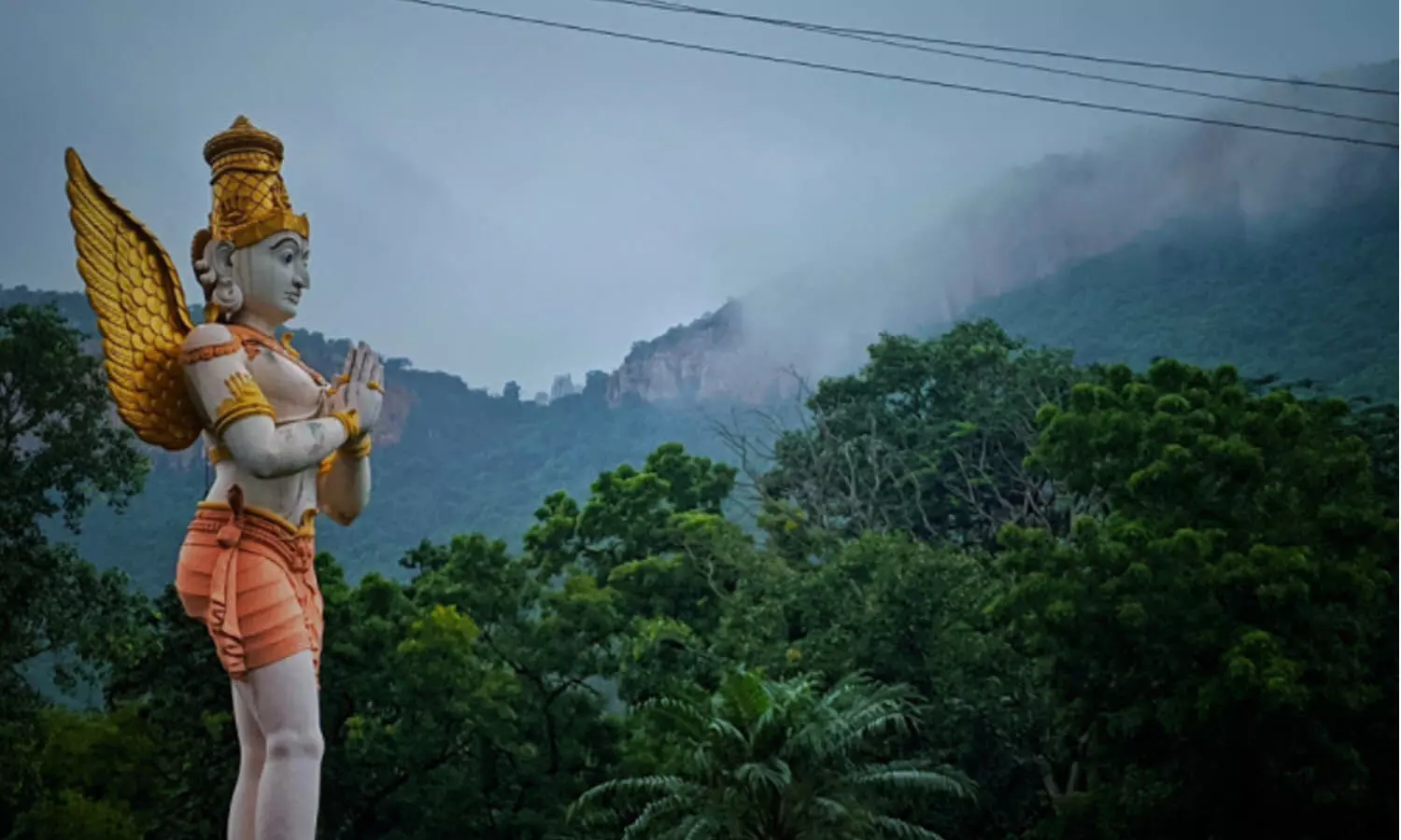 ttd, darsanam tickets, online, close