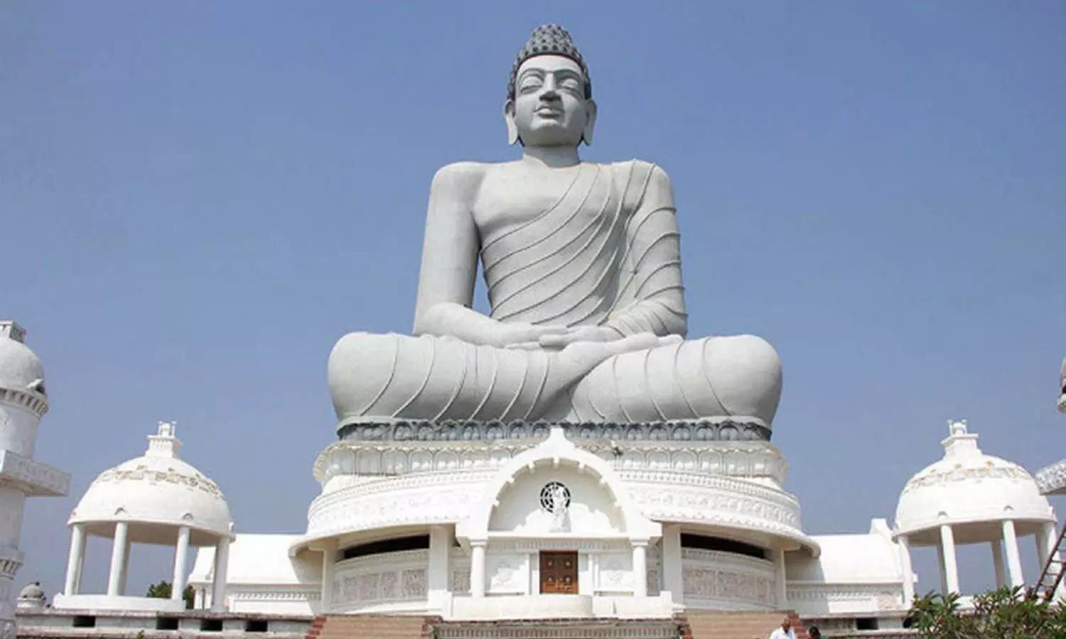 corona, andhra pradesh, positive cases, deaths, recovery