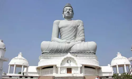 corona, andhra pradesh, positive cases, deaths, recovery