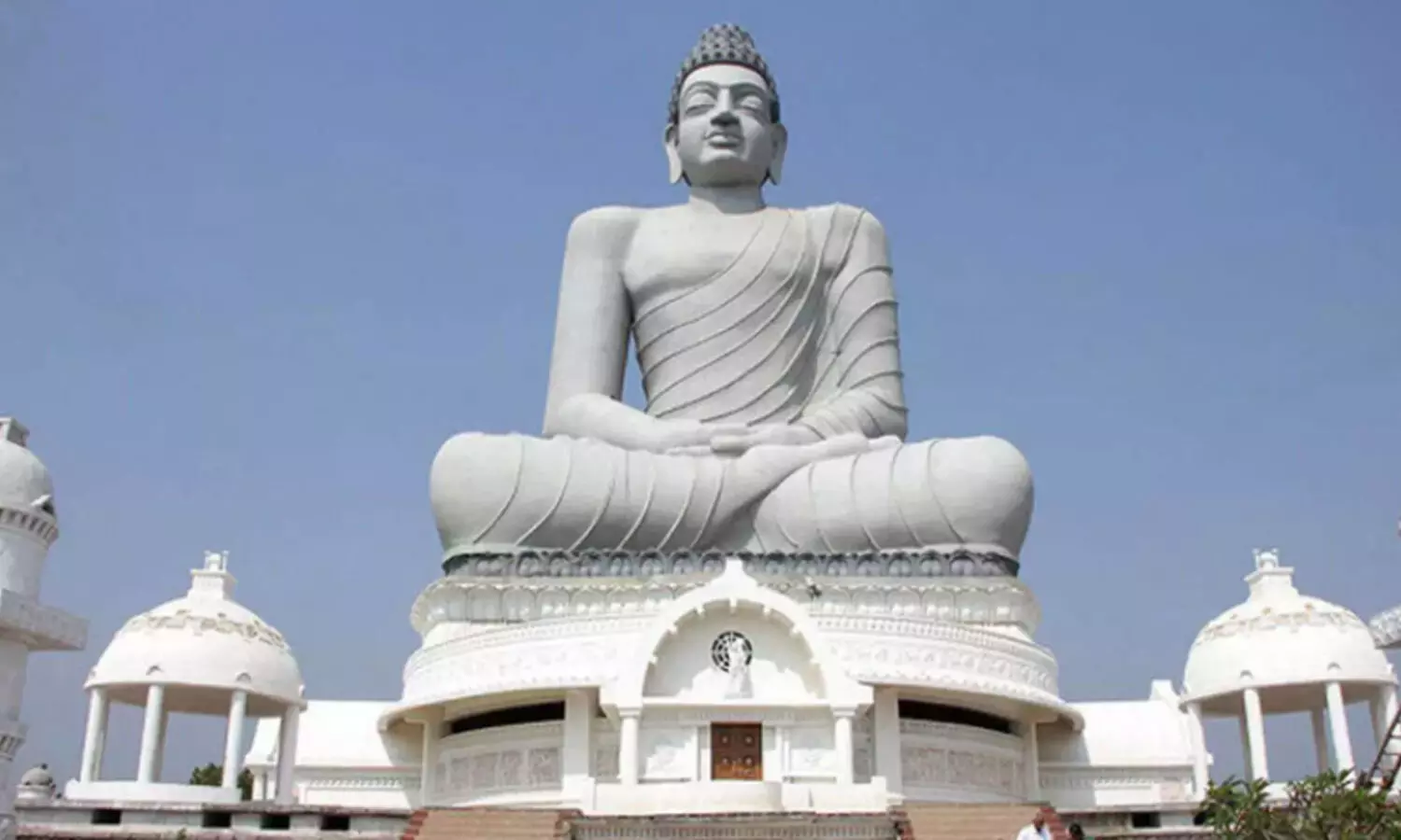 covid 19, positive cases, deaths, recovery, andhra pradesh