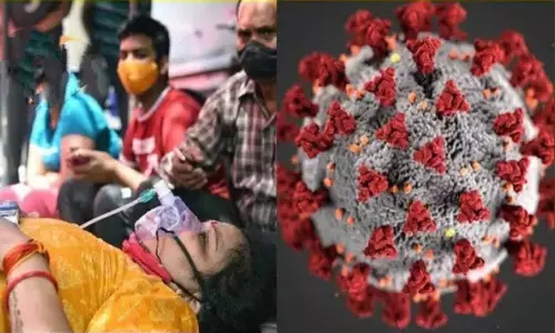 corona, andhra pradesh, positive cases, deaths, recovery