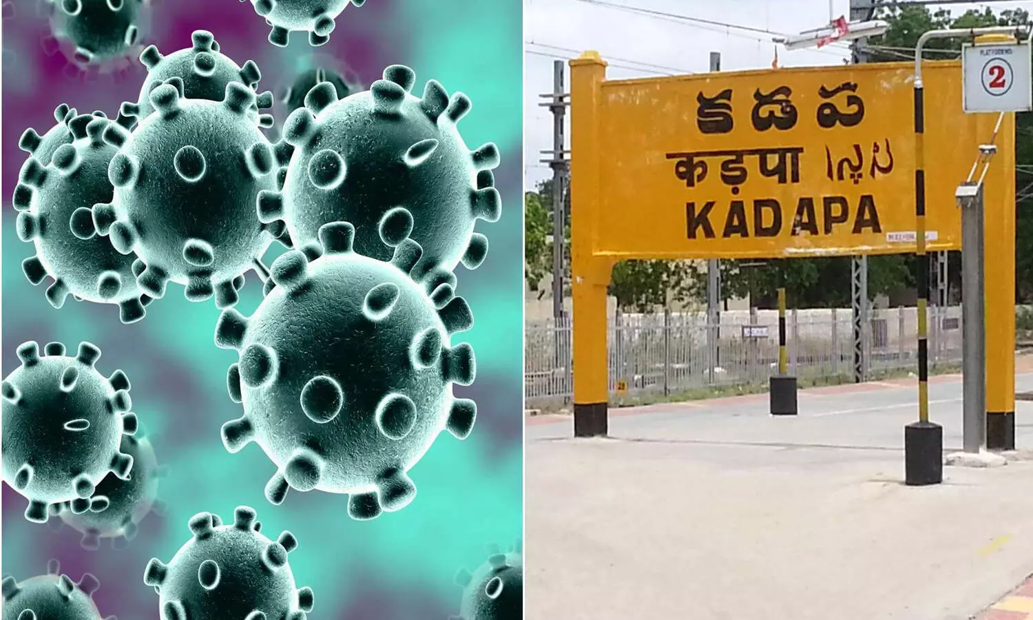 corona virus, kadapa, positive cases, police, restrictions