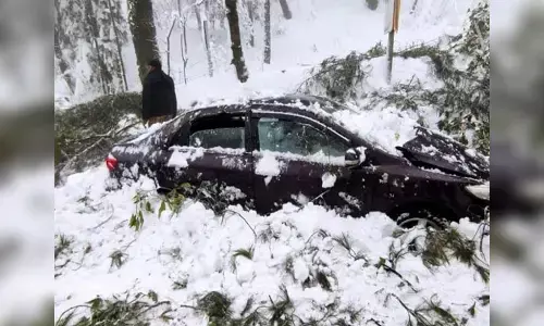 భారీ హిమపాతం.. 22 మంది మృతి