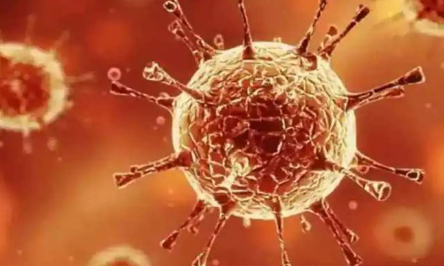 coroan, telangana, positive cases, deaths, recovery coroan, telangana, positive cases, deaths, recovery