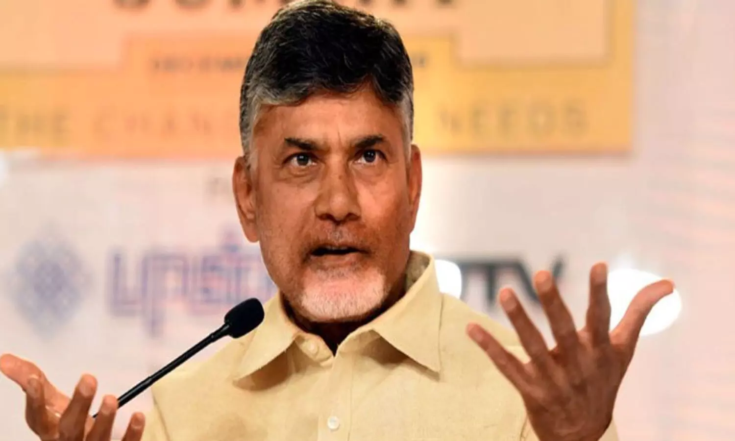 raghu rama krishna raju, tdp, ysrcp, naraapuram, bjp, janasena