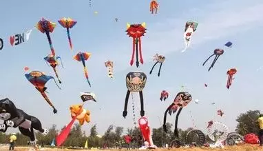 Ban imposed on use of glass coate Synthetic /Nylon Thread in Kite flying during Sankranthi Festival