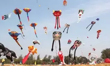 Ban imposed on use of glass coate Synthetic /Nylon Thread in Kite flying during Sankranthi Festival