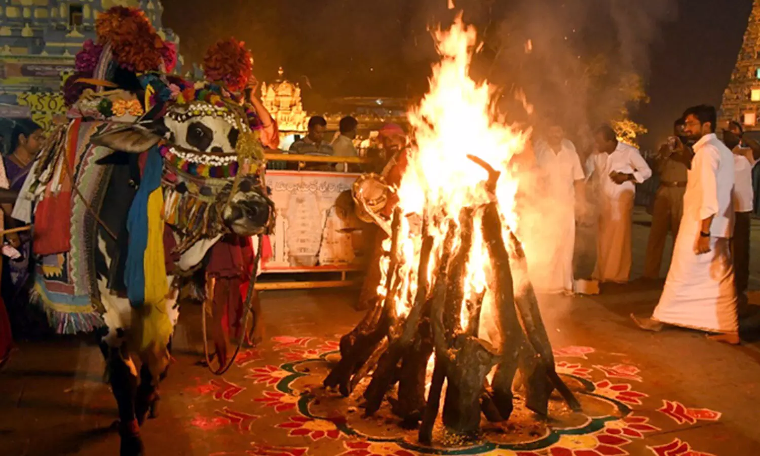 amaravathi, farmers, bhogi manatalu, mandadam, capital amaravathi, farmers, bhogi manatalu, mandadam, capital