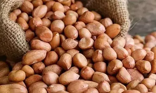 విషాదం.. పండుగ వేళ ప్రాణం తీసిన పల్లీలు