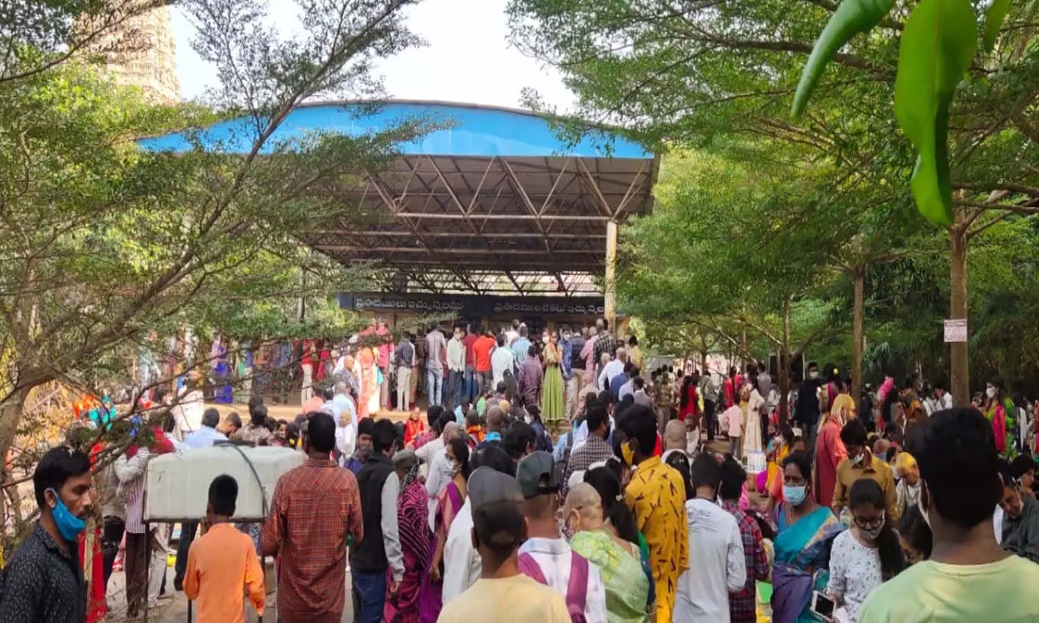 corona, telangana, omicron, positive cases, deaths corona, telangana, omicron, positive cases, deaths