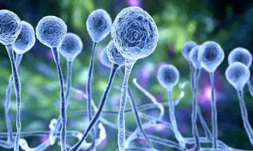 corona, positive cases, deaths, recovry, telangana