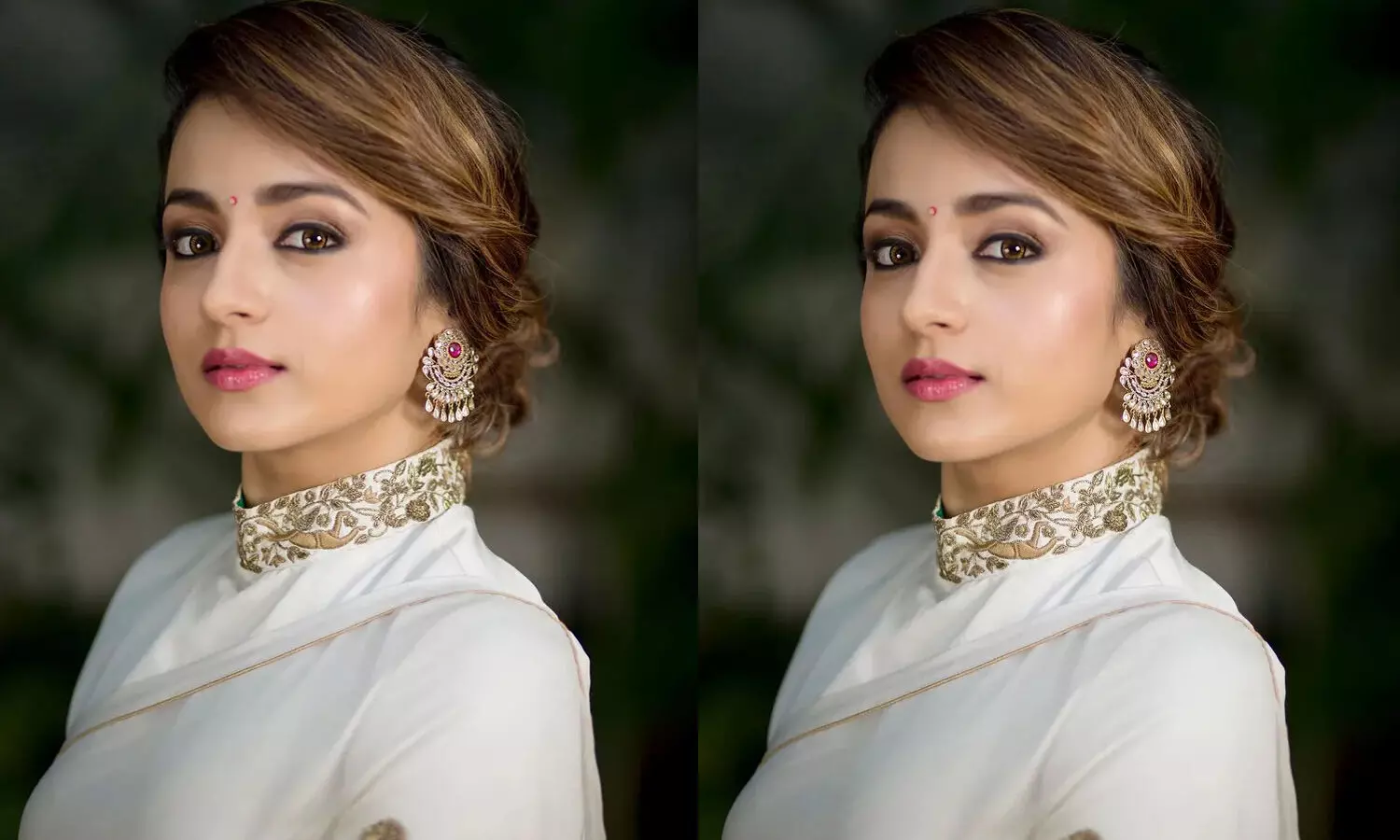 వెబ్ సిరీస్ తో త్రిష రీ ఎంట్రీ