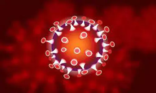 corona, positive cases, deths, recovery, telangana