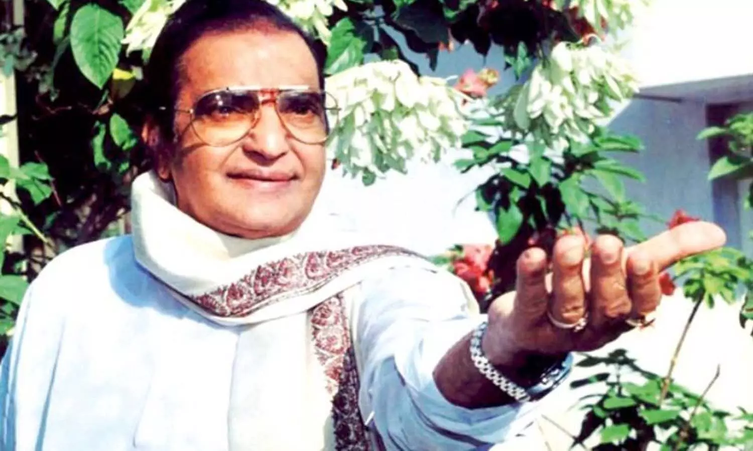 nandamuri family, new districts, ntr, ramakrishna, purandhreswari