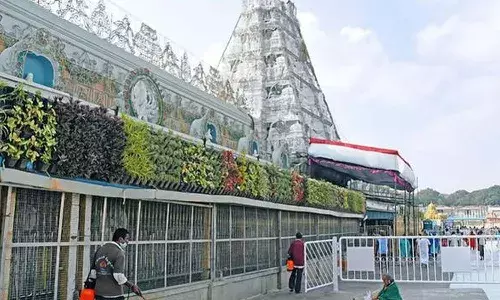 pcial darsanam tickets, ttd, online, venkateswara swamy