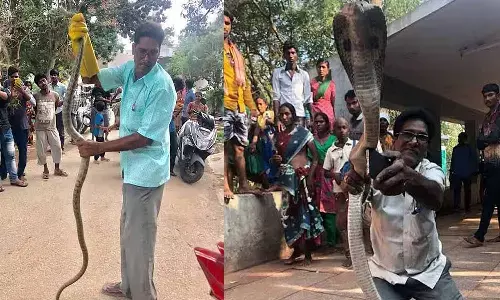 bhaskar nayudu, snake catcher, ttd, andhra pradesh