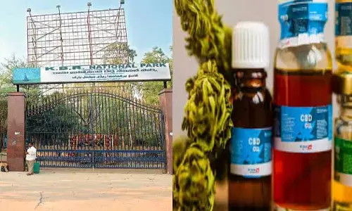 కేబీఆర్ పార్క్ వద్ద గంజాయి స్మగ్లర్లు అరెస్ట్