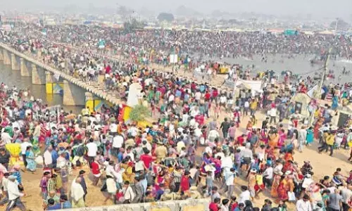 medaram, sunday, jathara, telangana